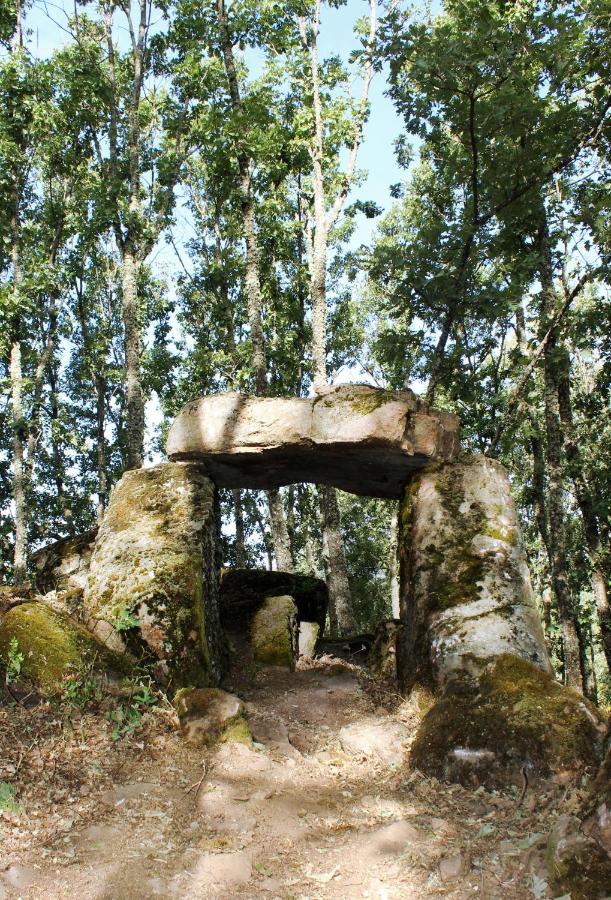 Veragua. Glamping y Apartamentos turísticos Villanueva De La Vera Exterior foto